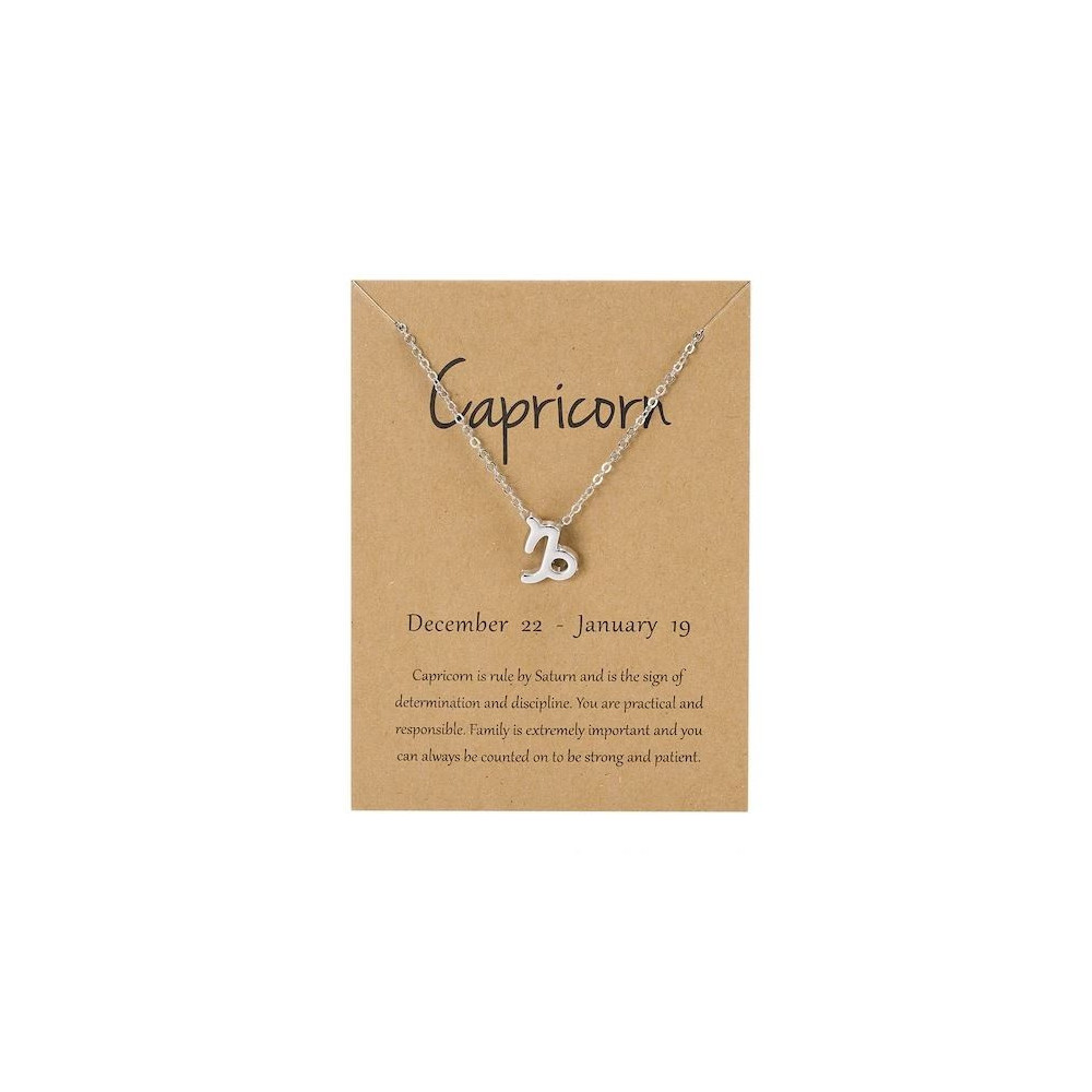 Fio Signo Capricórnio Prateado