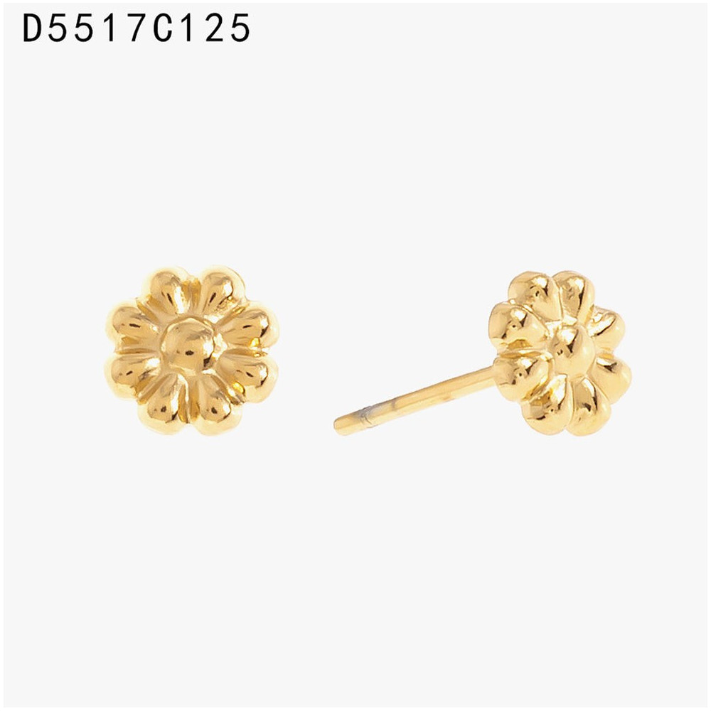 Nova Coleção Ortiz