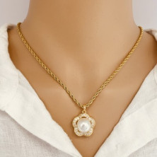 Nova Coleção Ortiz